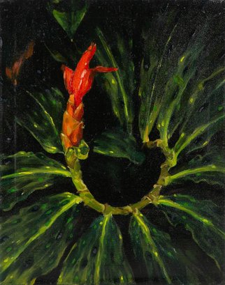 Post Impressionist Original Oil On Canvas 'Bloom At Night'
