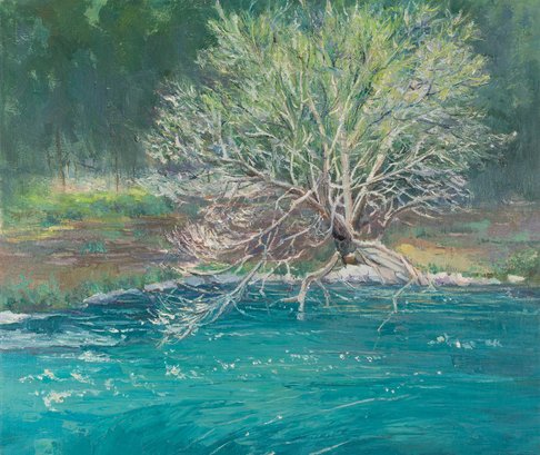 Panpan Wei Landscape Original Oil Painting 'Tree On The Creekside'