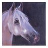 Realist Original Oil Painting 'Portrait Of Horse'