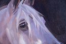 Realist Original Oil Painting 'Portrait Of Horse'