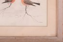 Small Early 20th Century Watercolor 'Two Birds'