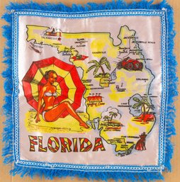 Florida Map Printing Cushion Cover