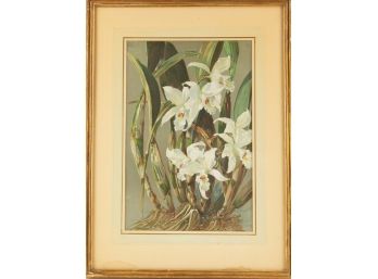 W.Eachert Floral Print 'White Orchid'