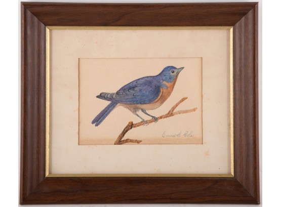 Vintage Animal Watercolor 'Blue Bird'
