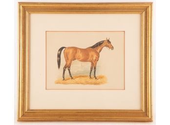 Vintage Animal Engraving 'Horse'