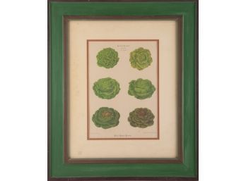 Vegetable Food Art Print 'Lettuce Kitchen Illustration'