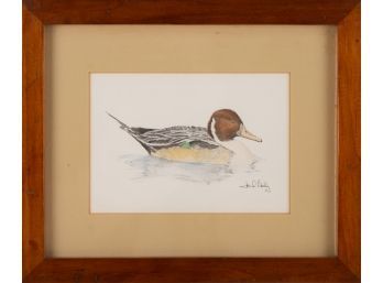Serigraphy  'Blue-winged Teal'