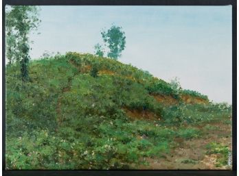 Fine Art Landscape Original Oil Painting By Artist Zanbo Niu 'Plein Air 13'
