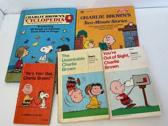Peanuts Charlie Brown Book Lot