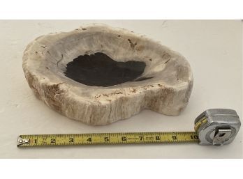 Decorative Petrified Wood Bowl / Accent Piece
