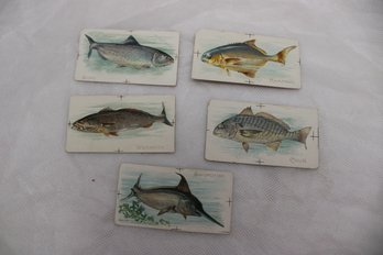 5 ANTIQUE FISH TOBACCO CIGARETTE CARDS