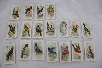 18 ANTIQUE CIGARETTE TOBACCO BIRD CARDS