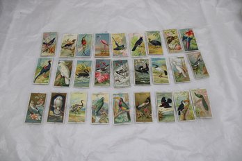 27 ANTIQUE BIRD TOBACCO  CIGARETTE CARDS