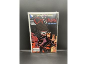 DC Catwoman 13 The New 52