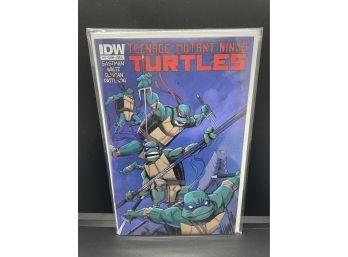 IDW Teenage Mutant Ninja Turtles 11