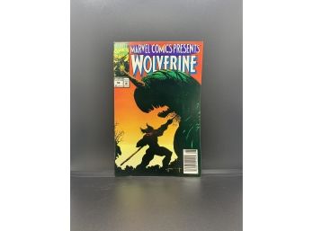 Wolverine And Ghost Rider Dual Comic Book
