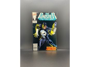 The Punisher Final Days Part 2 Comic