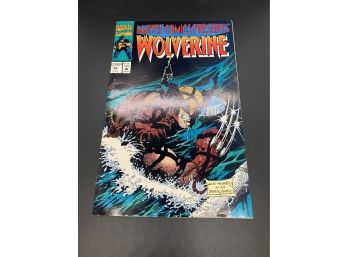 Wolverine And Ghost Rider Dual Comic Book 2