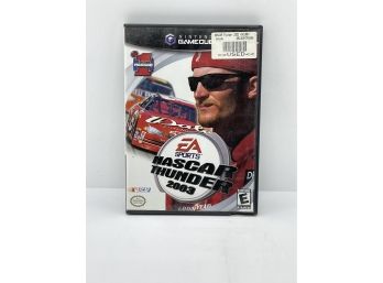 Nintendo Gamecube NASCAR Thunder 2003