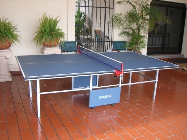 Used Ping Pong Table - Play It Again Sports - Elkhart, IN
