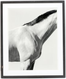 White Horse Neck 01, Palm Beach FL, 4 March 1995- Steven Klein