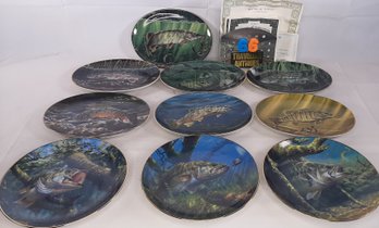 Danbury Mint Fish Plates Lot Of 10 W/ COA