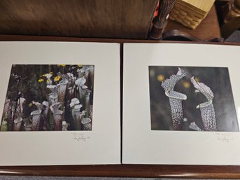 W.M. Jeffery Flower Prints Set Of 2