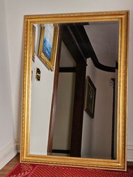 40.5 X 28.5 Carolina Gold Frame Mirror #33