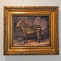 15.5 X 17 Antiqued Collection Framed Painting Of Zebra #66