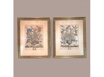 Hand Colored Engravings By Henry Fletcher 12 Months Of Flowers 'April' 'January'
