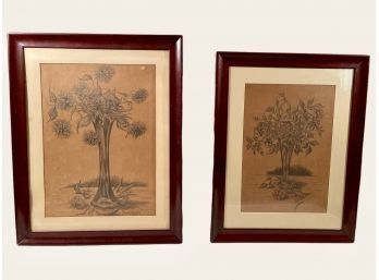 Lot Of 2 Vintage Art Drawings Signed 29.5 X 23.5, 27.5 X 21