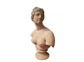 Venus Bust Very Heavy Concrete Sculpture 26 X 17.5