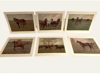 Lot Of 6 Vintage Horse Prints  #100