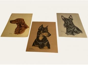 Lot Of 3 Gladys Emerson Cook Dog Portrait Prints   #99