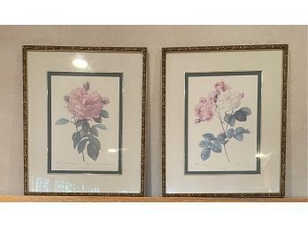 Pierre-Jospeh Redoute Vintage Pair Framed Botanical Prints #197