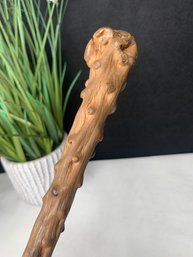Antique Thorn Cane Topper, 14 Inches Long