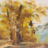 Oil Painting On Canvas 'forest Landscape Flying Ducks'