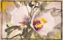 Vintage Impressionist Watercolor On Paper 'Two Flowers'
