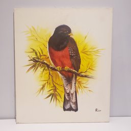 Oil Painting On Canvas 'portrait Of Bird'