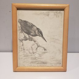 Pencil On Paper 'bird Drawing' Signed And Dated