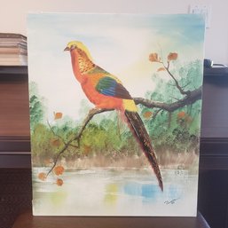 Portrait Of Colorful Bird Oil Painting