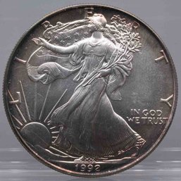 1992 American Silver Eagle 1oz Coin Toned