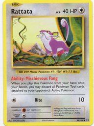 Rattata XY Evolutions Pokemon Card