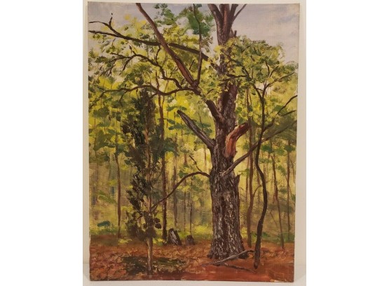 Forest Landscape Oil Painting