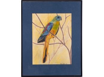 Vintage Realist Watercolor On Paper 'Parrot'