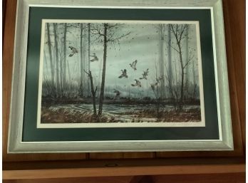 Large Bird And Water/woods  Scene