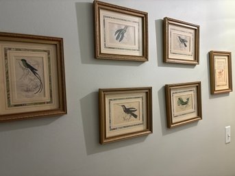 Beautiful Framed Bird Plate Prints (six)