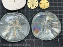 Glass Sand Dollars & Two Gold-tone Pendants