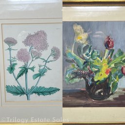Vintage Botanical Print Of Heirloom Hydrangea & Watercolor Of Flowers