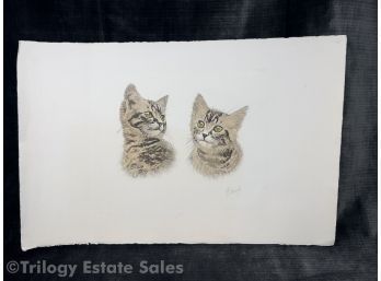 Signed Hand Colored Etching Of Tabby Cats